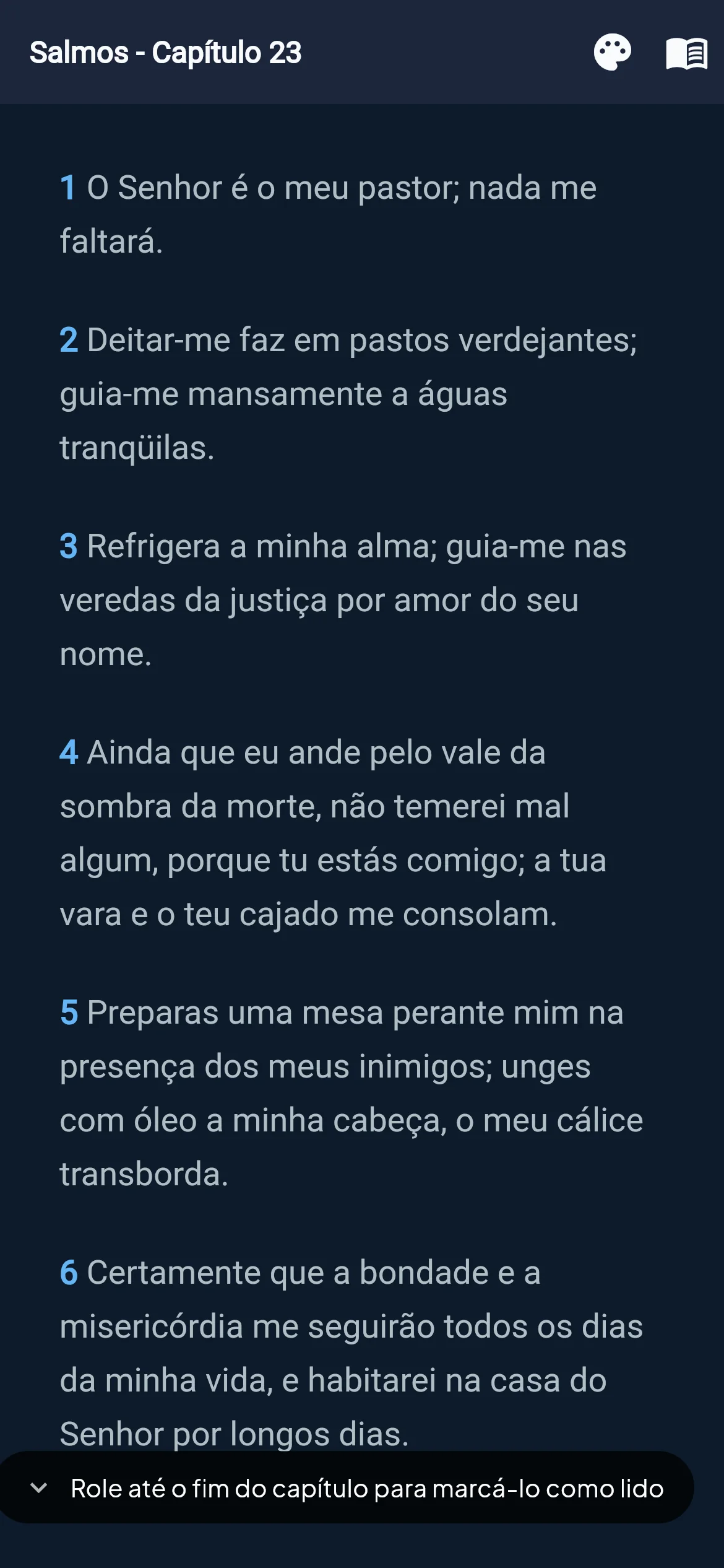 Tela de leitura bíblica do BibleVerse